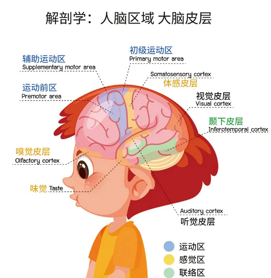 原书插图