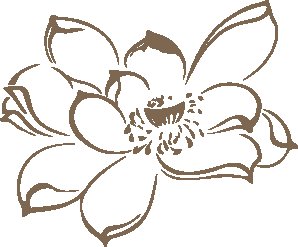 原书插图