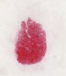 原书插图